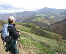 Ascent to cebreiro